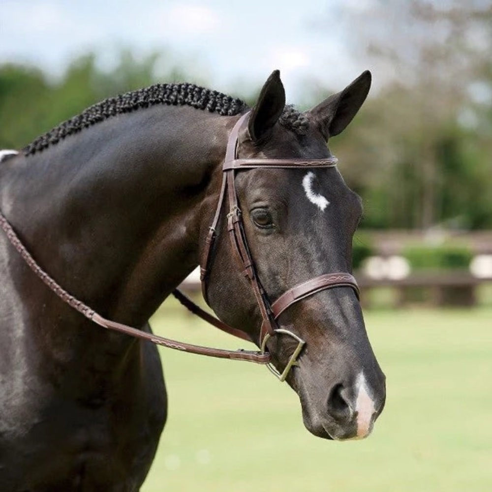Dy'on Wide Noseband Hunter Bridle Padded Crown Chocolate Brown